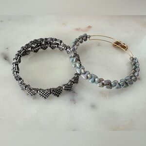 ALEX AND ANI Silver and Gold Bracelet Set